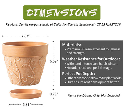 Elevated base improves airflow and supports healthy root development.