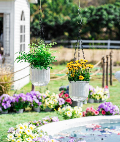 Melphoe 5.3-inch self-watering planter showing clear water level view