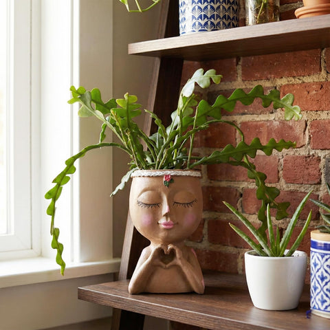 Meltset M Face Planter size-dimension, with 3.5-inch opening for small plants