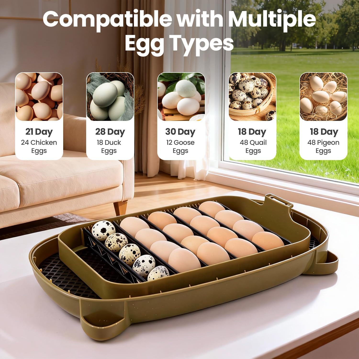 MEMTIM adjustable dividers customize egg spacing for different species