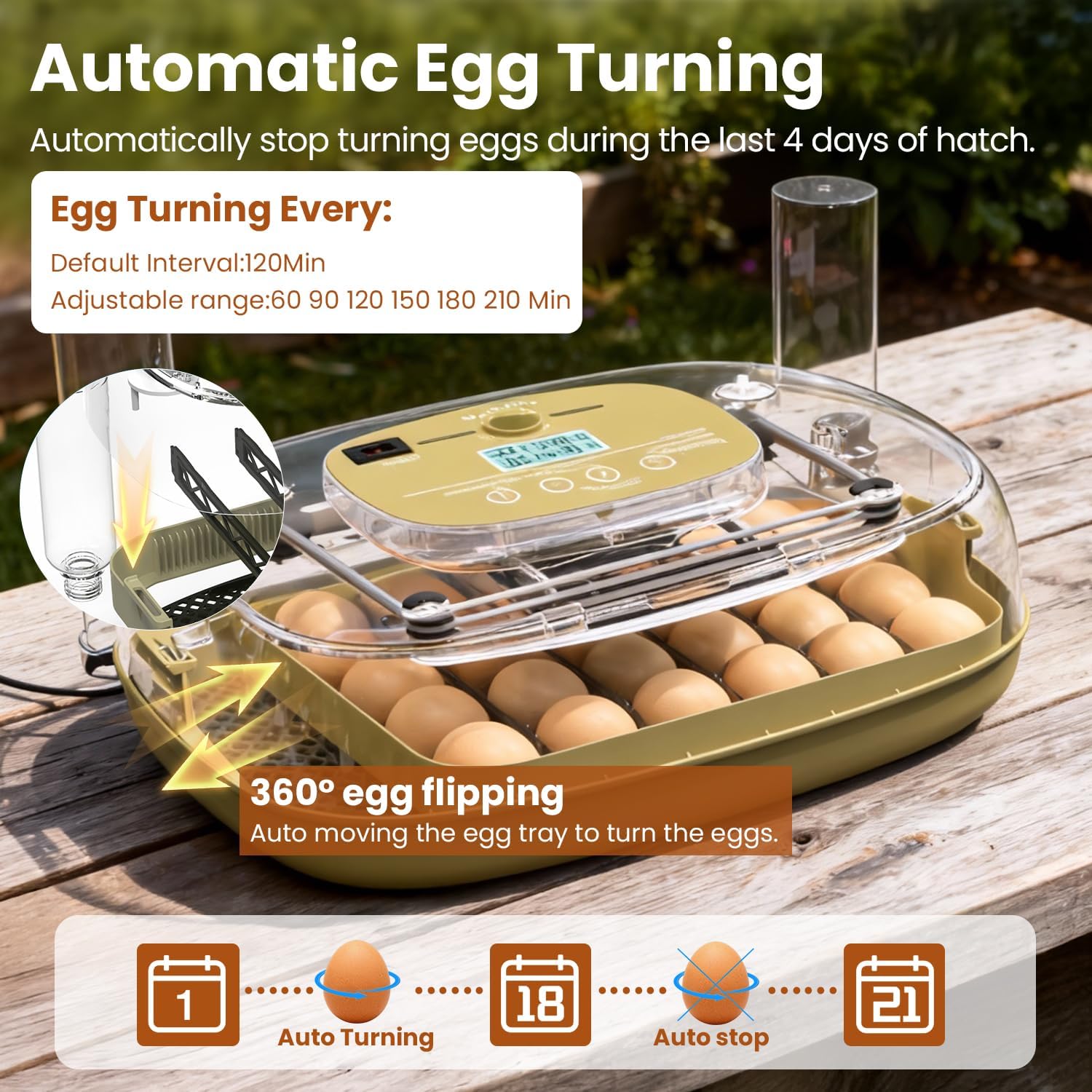 MEMTIM egg candler panel lets you inspect embryos without opening the lid