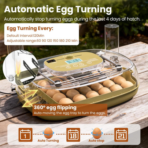MEMTIM egg candler panel lets you inspect embryos without opening the lid