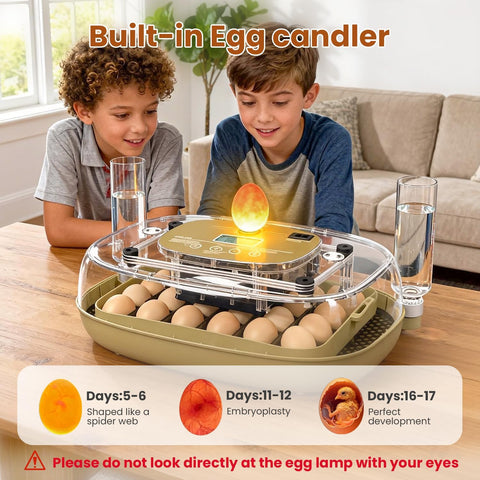 MEMTIM large-capacity trays hold varying egg sizes with flexibility