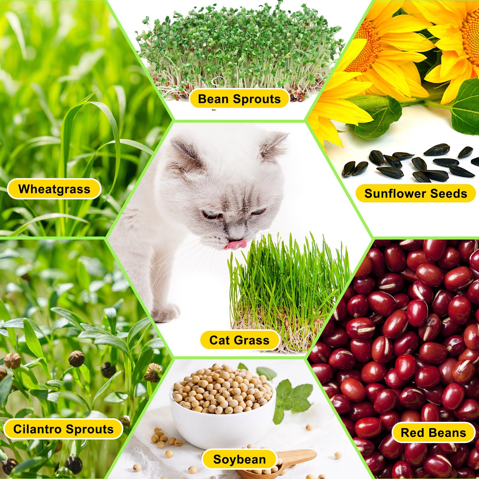 Menkxi home garden microgreens kit supports diverse sprouts