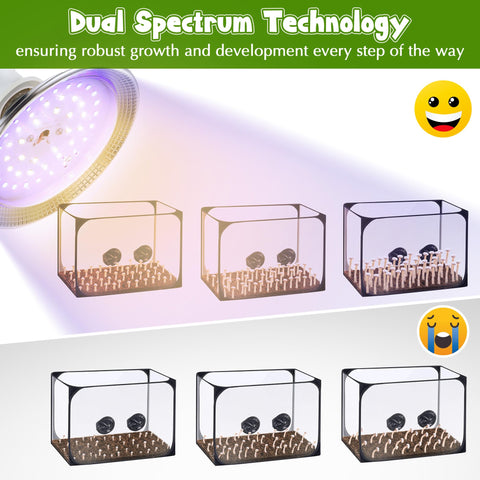 Meonum dual-spectrum 6000K-5000K light supports healthy mushroom and plant growth