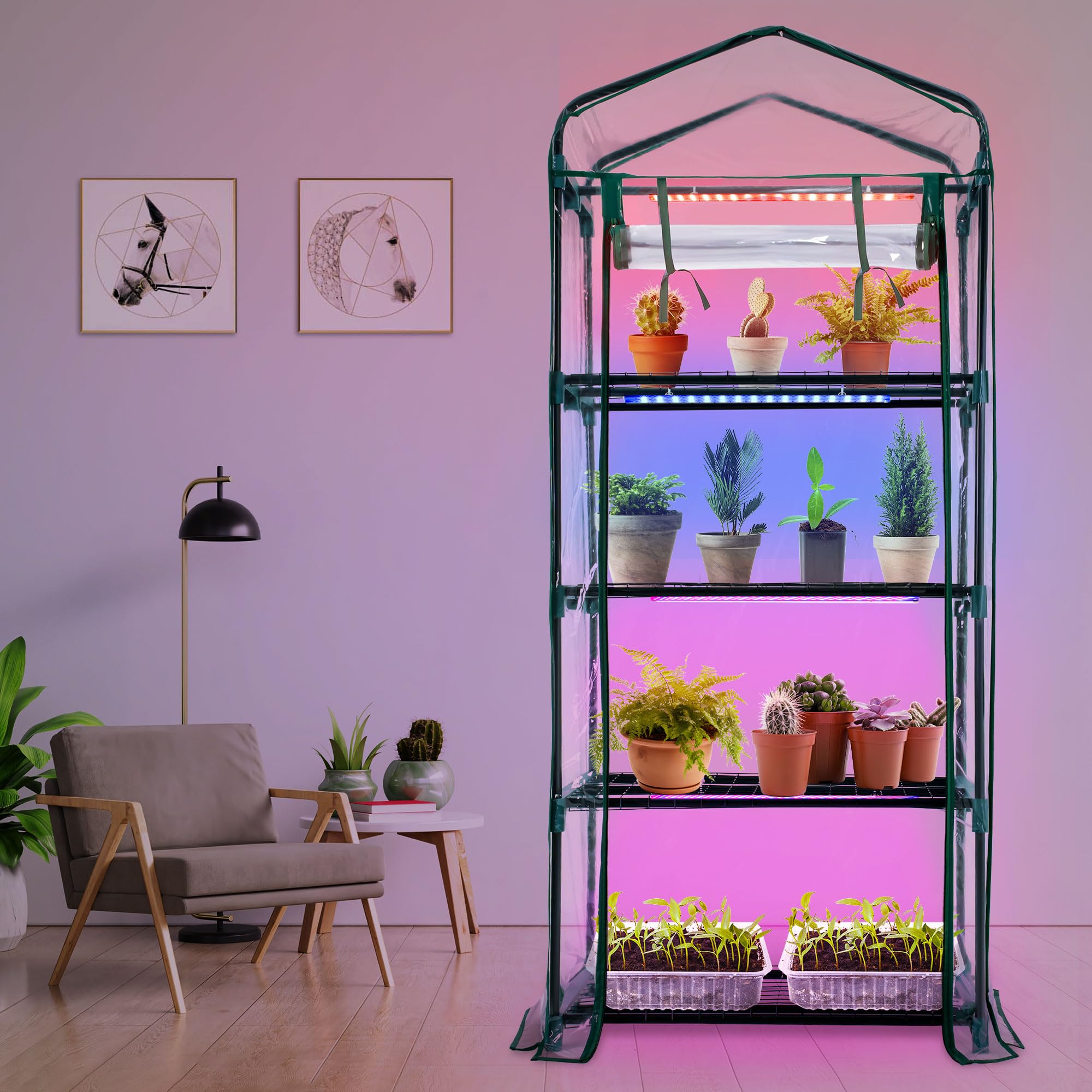 Meonum Adjustable shelves accommodate 10x20 seed trays and various plant sizes.