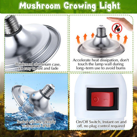 Meonum low-heat energy-efficient design protects indoor setups