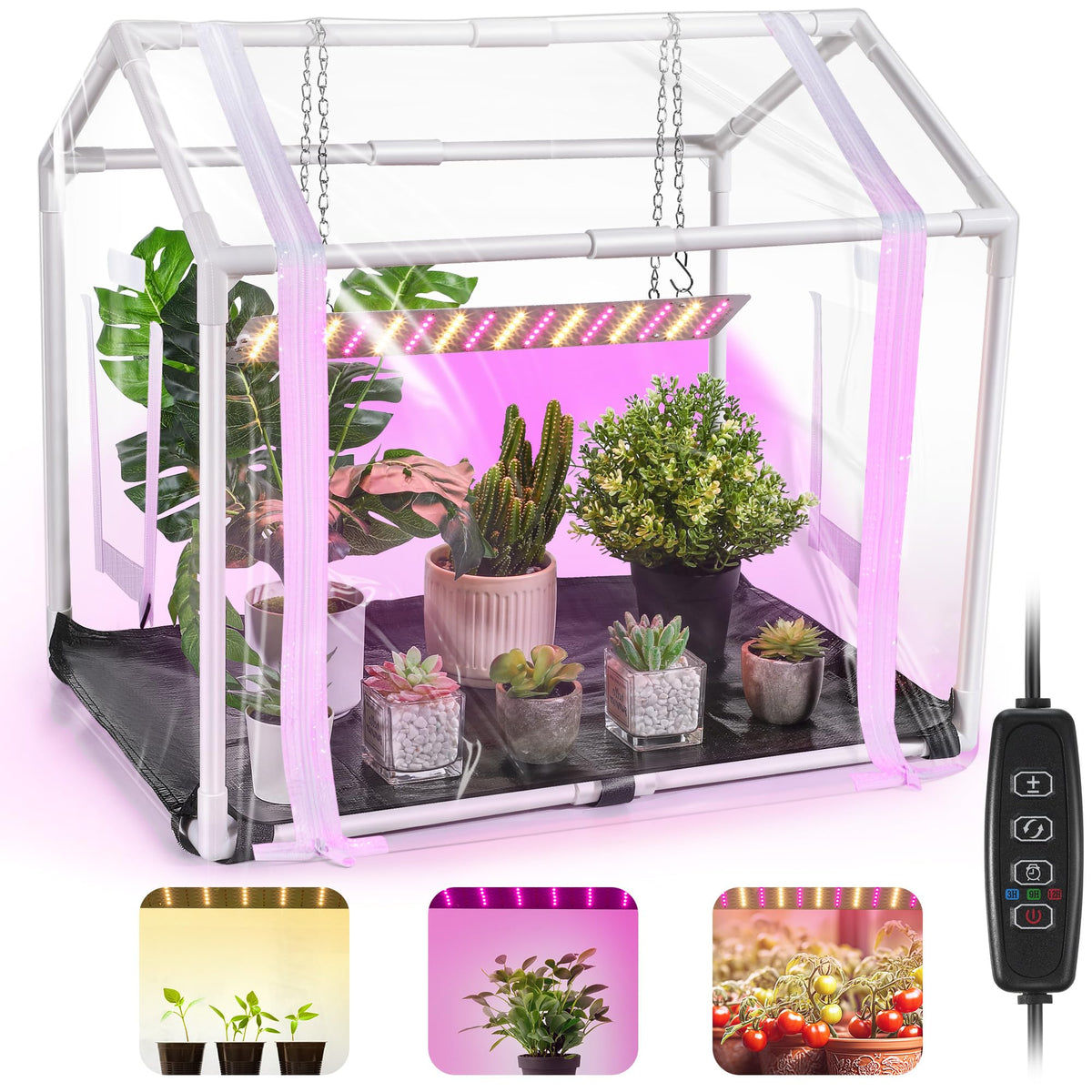 Meonum Mini Greenhouse with Grow Light illuminating seedlings for steady growth.