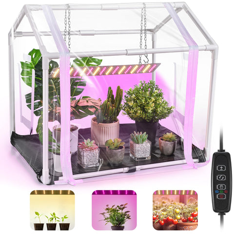 Meonum Mini Greenhouse with Grow Light illuminating seedlings for steady growth.