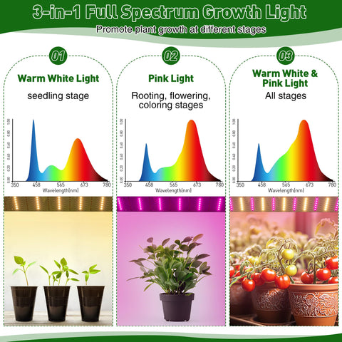 Meonum mini greenhouse roll-up-door allows simple watering and access.