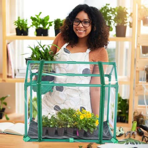 Meonum clear PVC cover with UV resistance protecting seedlings