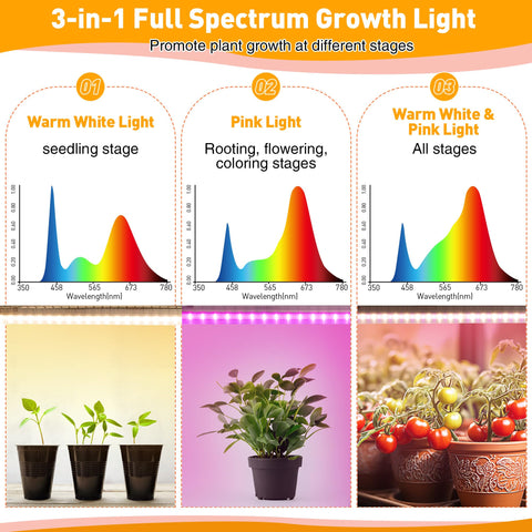 Meonum thermometer and humidity gauge monitors indoor climate for healthy plants