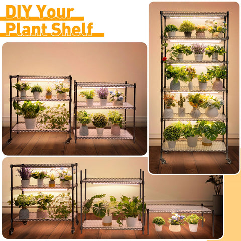 Meonum ventilated greenhouse with side windows supports airflow