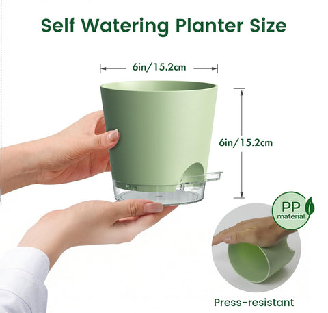 Meowell 3-pack self-watering pots for easy plant care.
