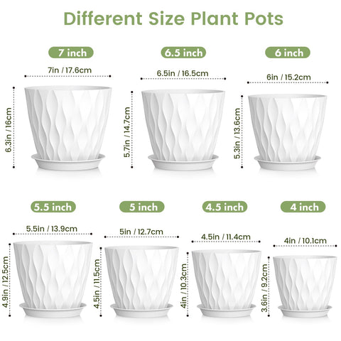 Meowell 6.5-inch wave-texture pot ideal for small succulents and herbs.