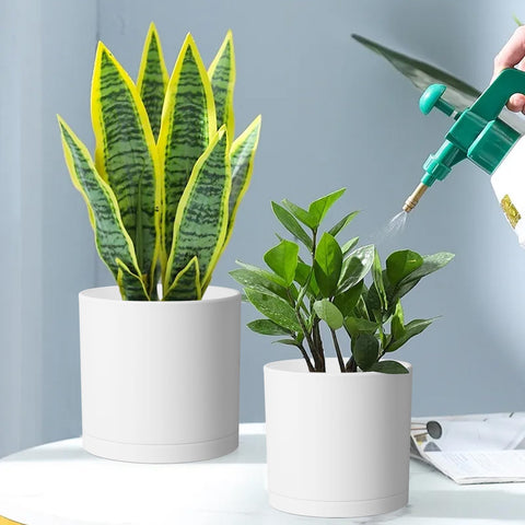 Meowell 6-inch planter fits small spaces and balcony greenery.
