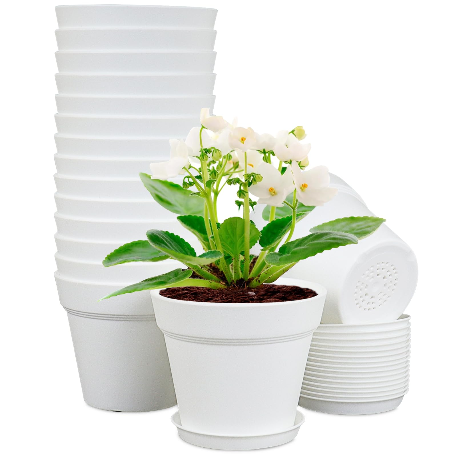 Meowell 6 inch pot with drainage holes supporting healthy seedling growth