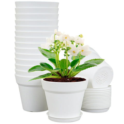 Meowell 6 inch pot with drainage holes supporting healthy seedling growth