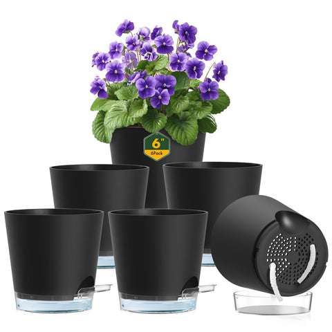 Meowell 6-inch self-watering pot with drainage holes maintains soil moisture.