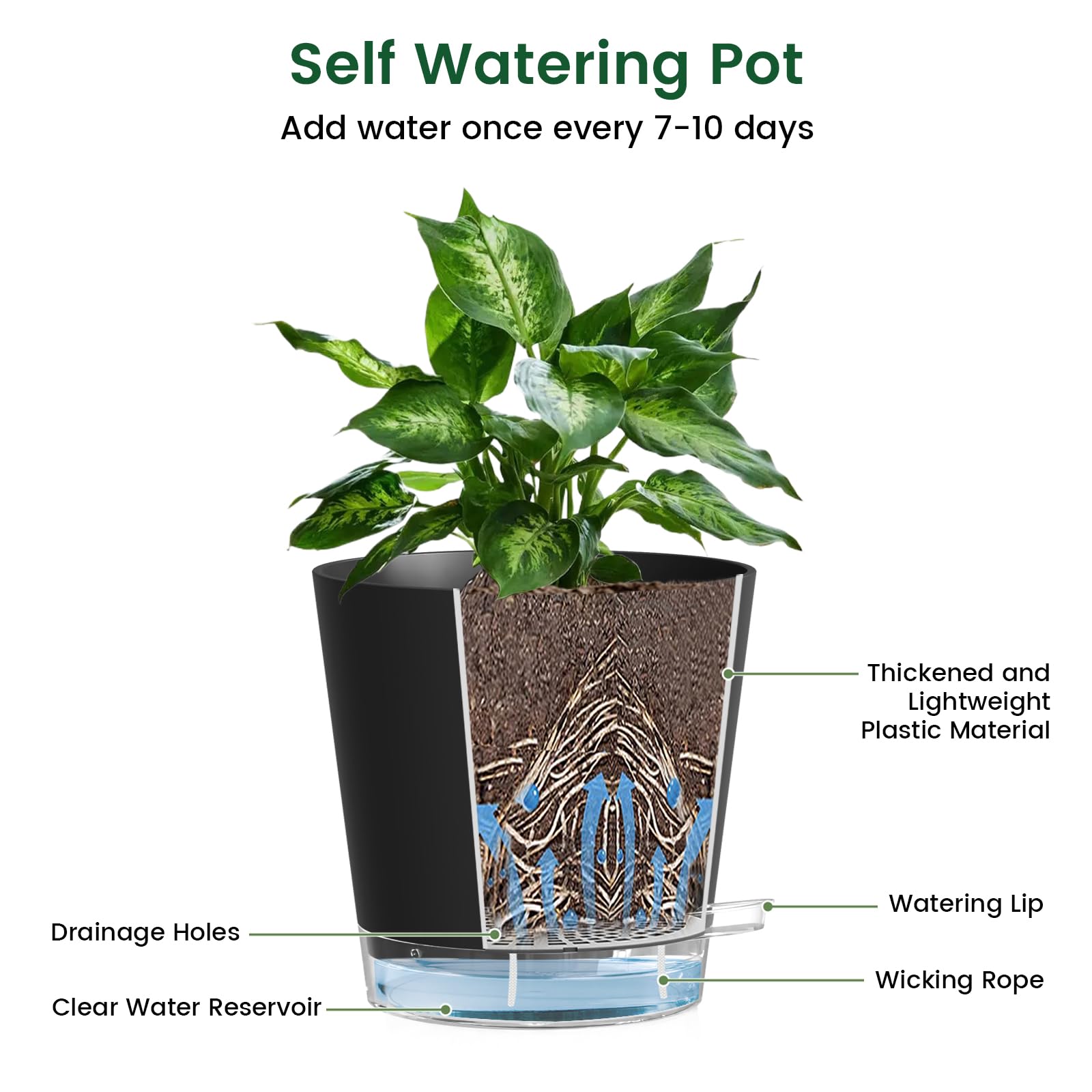 Meowell 6-pack indoor-outdoor planters ideal for flexible arrangement.