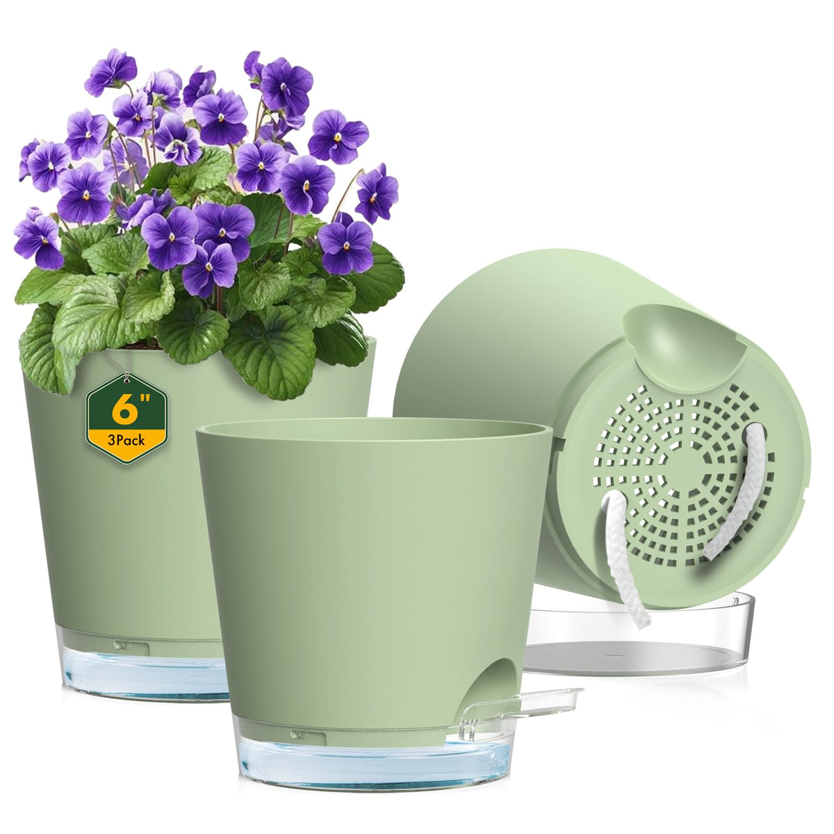 Meowell 6-inch self-watering pot with inside view for healthy root hydration.