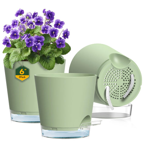 Meowell 6-inch self-watering pot with inside view for healthy root hydration.