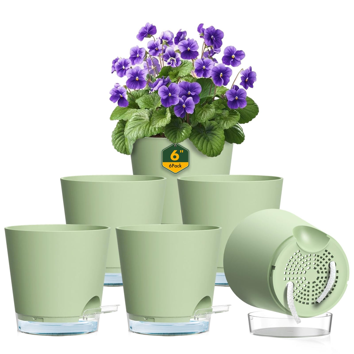 Meowell 6-inch self-watering pot set for easy plant styling