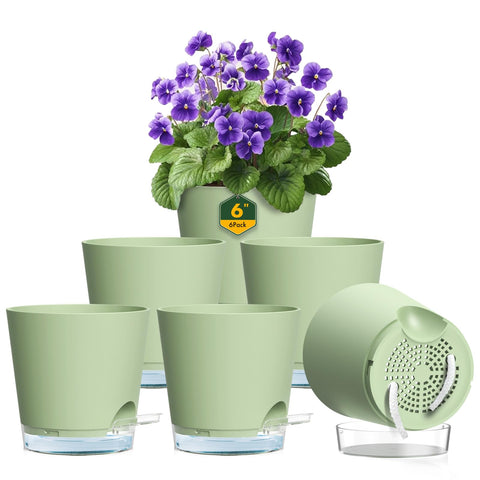 Meowell 6-inch self-watering pot set for easy plant styling