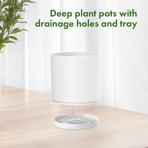 Meowell 7-inch tall cylinder plant pot for ZZ plants and accents.