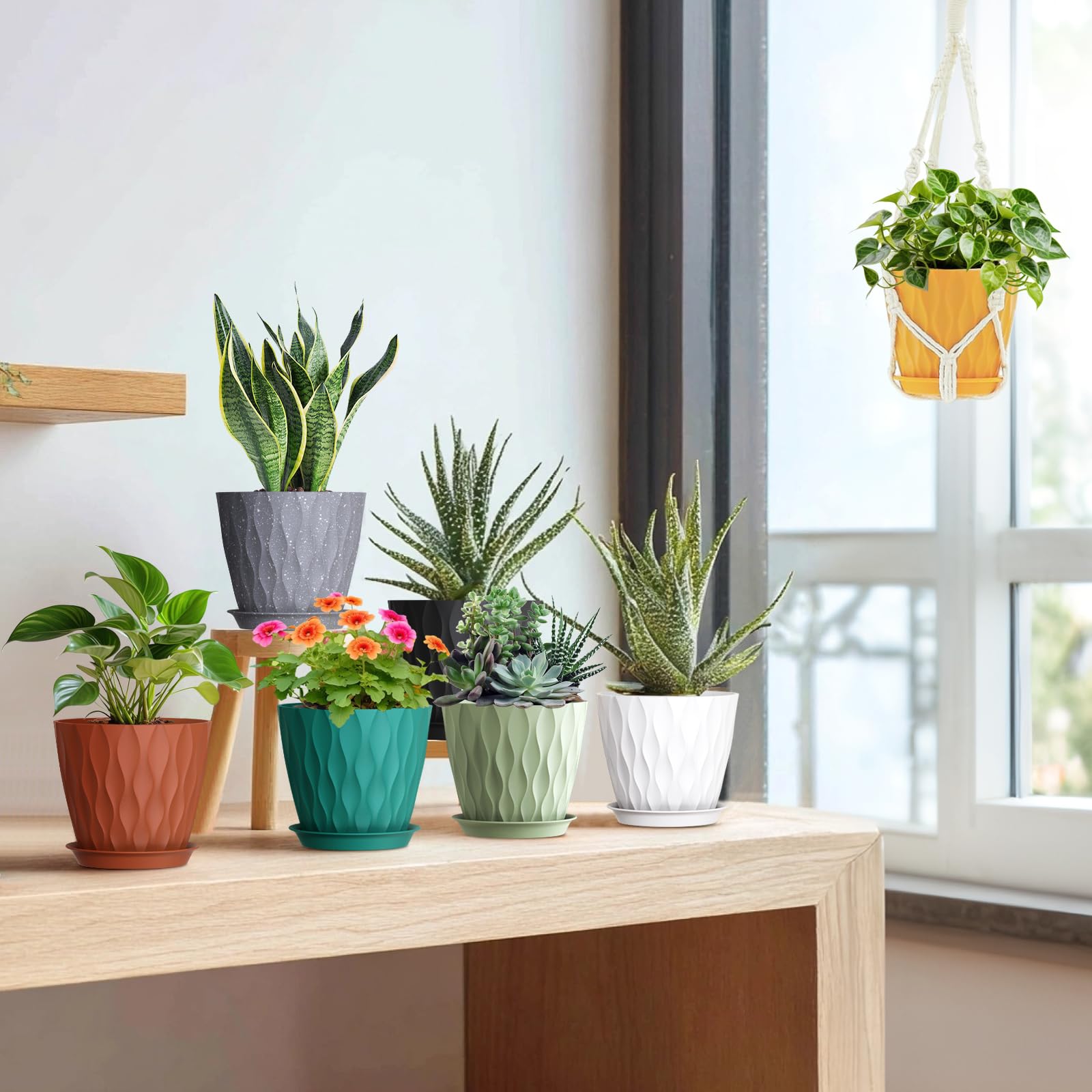 Meowell 7-inch pots suited for indoor and outdoor spaces