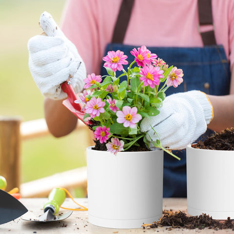 Meowell 8-inch cylinder plant pot ideal for herbs and succulents.