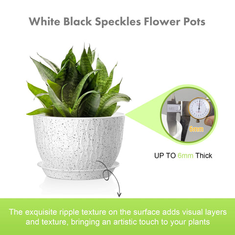 Meowell 9-inch ripple texture pot great for small plants.