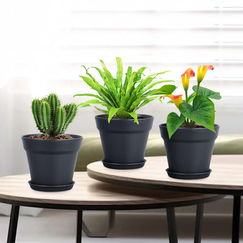 Meowell black mini pot ideal for compact seedling setups.