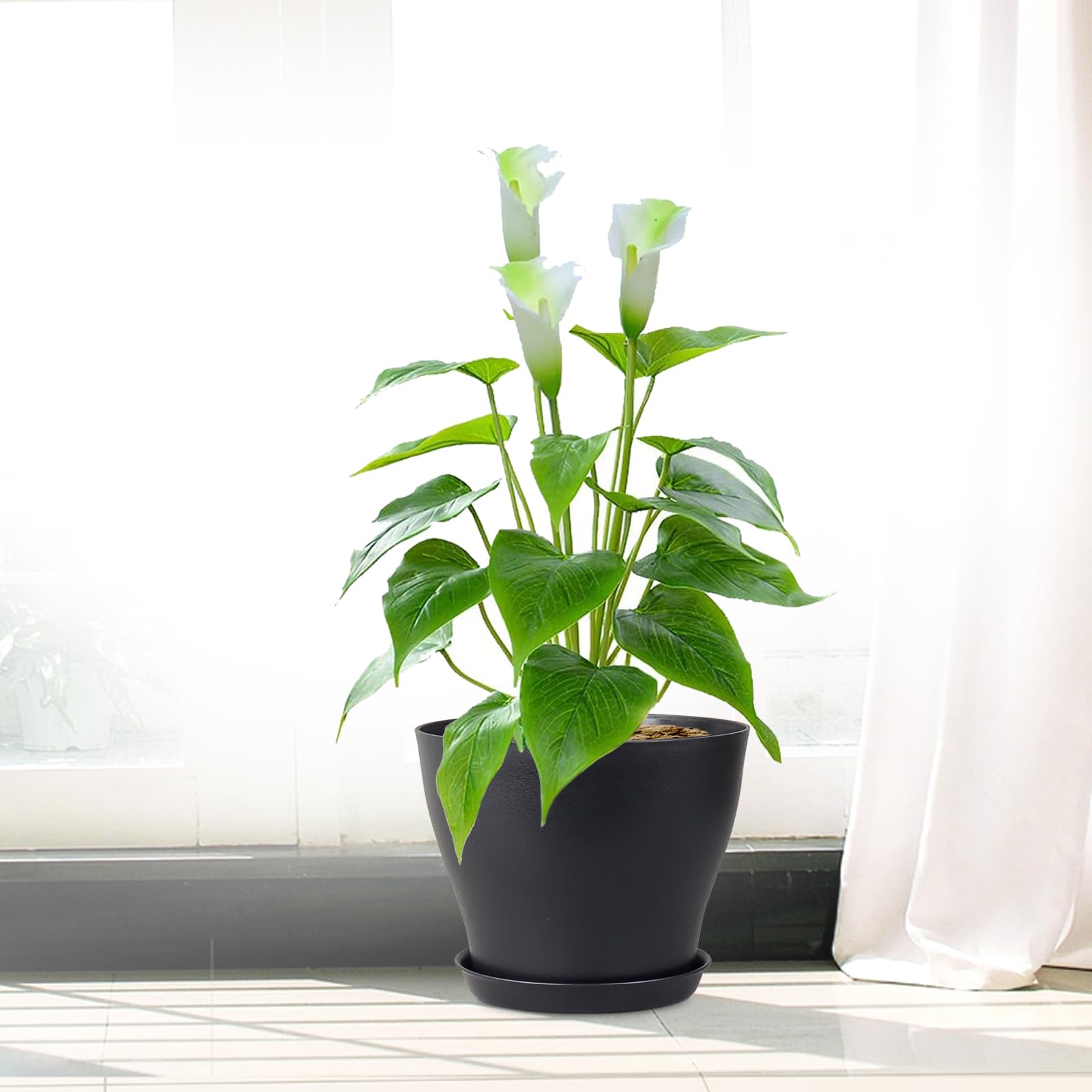 Meowell black nursery pots with drainage support tidy, thriving seedlings.