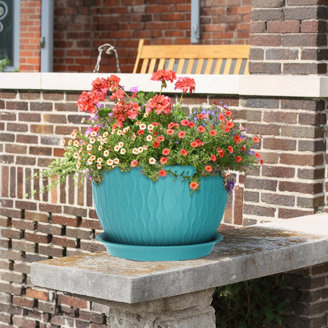 Meowell blue-green color complements indoor and outdoor spaces beautifully.
