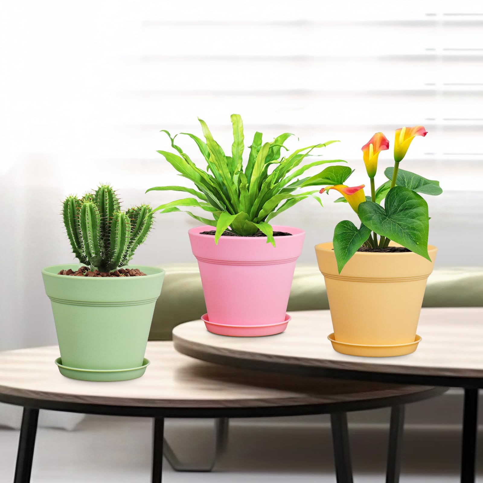 Meowell colorful nursery pot pack brightening indoor spaces