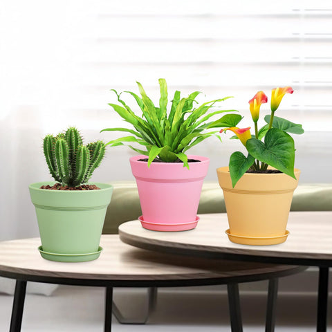 Meowell colorful nursery pot pack brightening indoor spaces