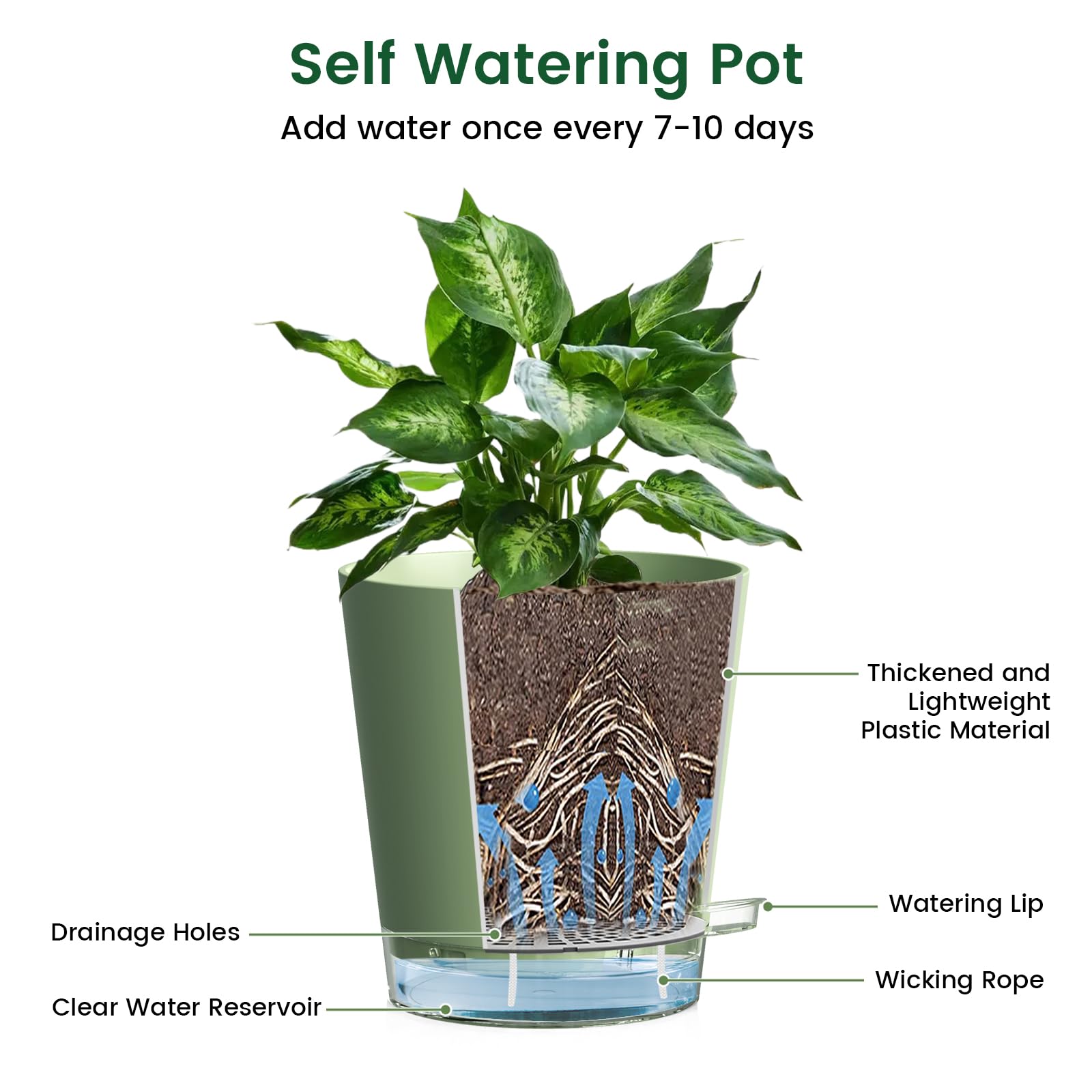 Meowell detachable saucers and drainage holes reduce overwatering and mess.