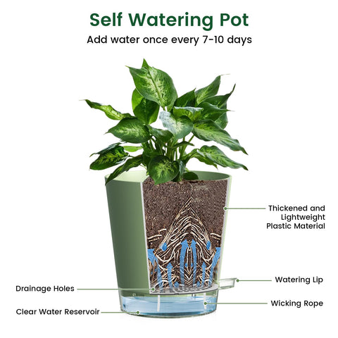 Meowell detachable saucers and drainage holes reduce overwatering and mess.