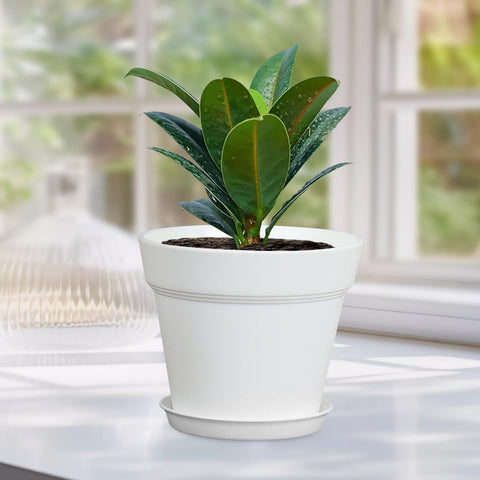 Meowell DIY-friendly planter for kids to color and personalize