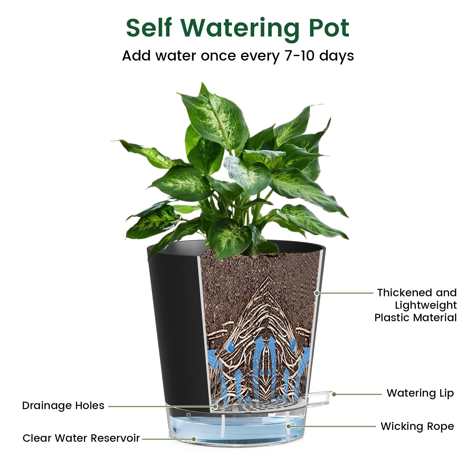Meowell planter with drainage holes reduces overwatering in any room