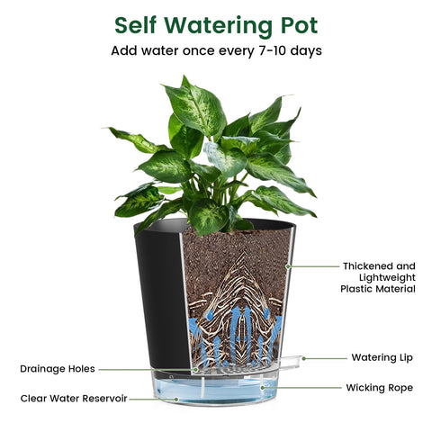 Meowell planter with drainage holes reduces overwatering in any room