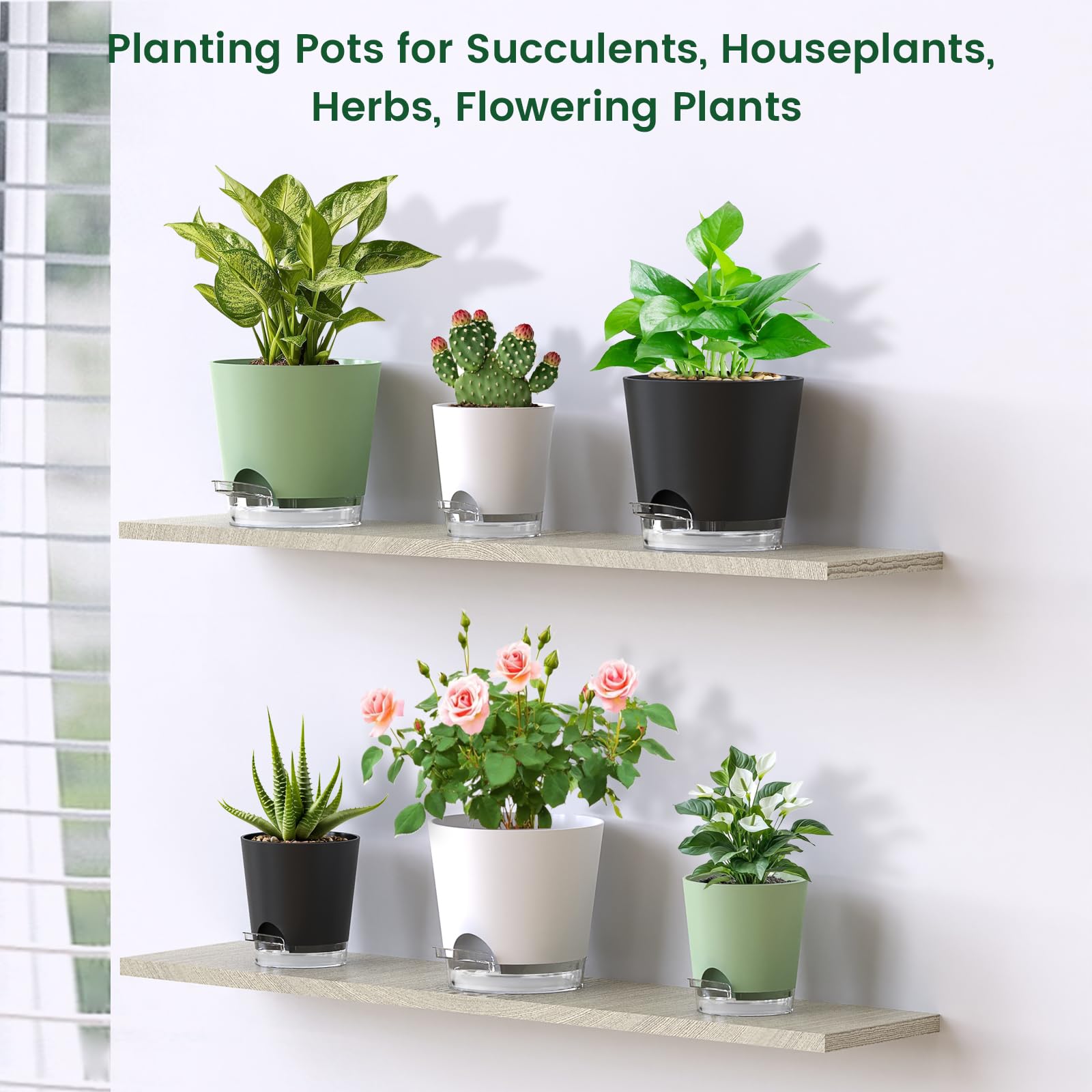 Meowell gift-ready indoor plant pot for plant lovers