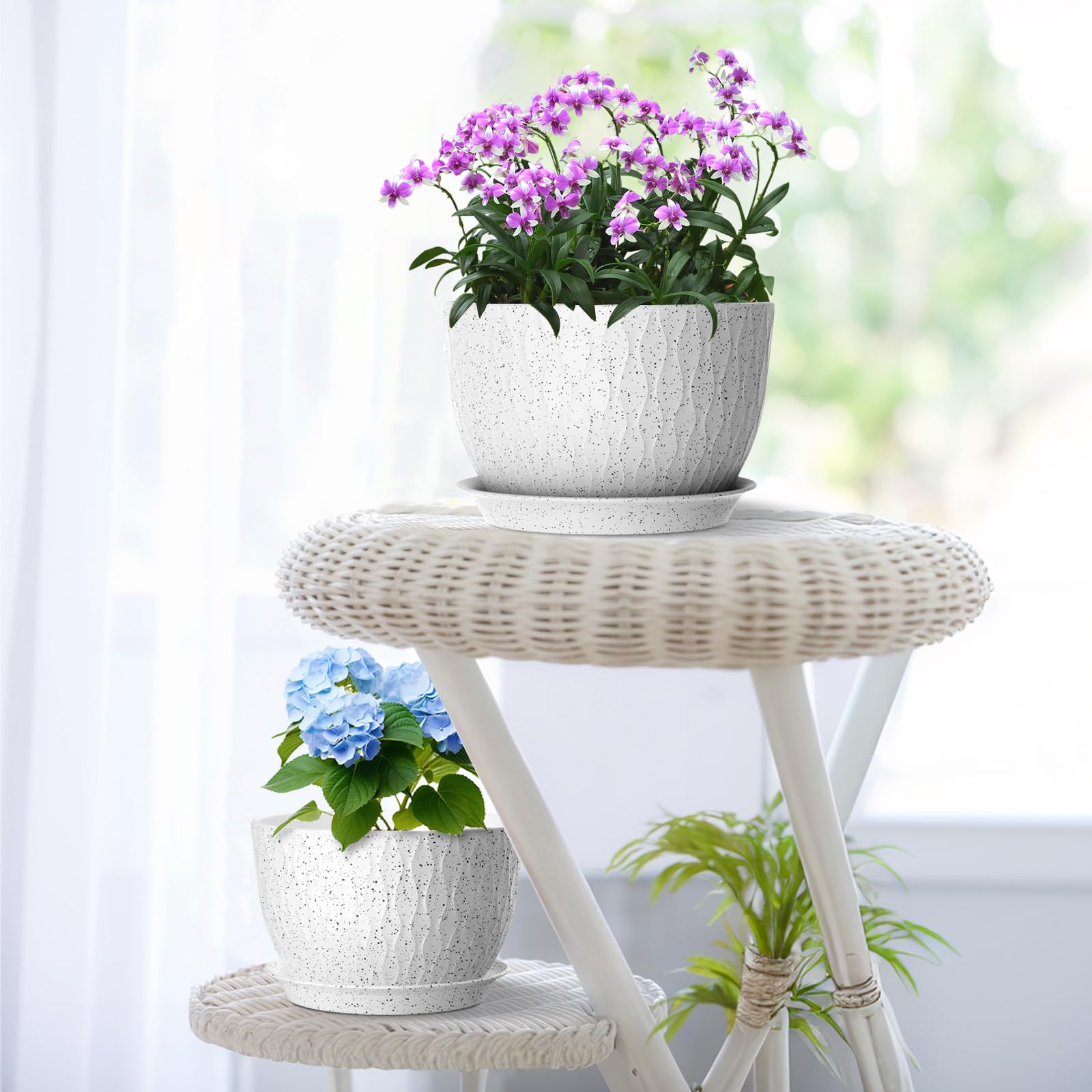 Meowell gift-ready plant pot set for plant lovers.