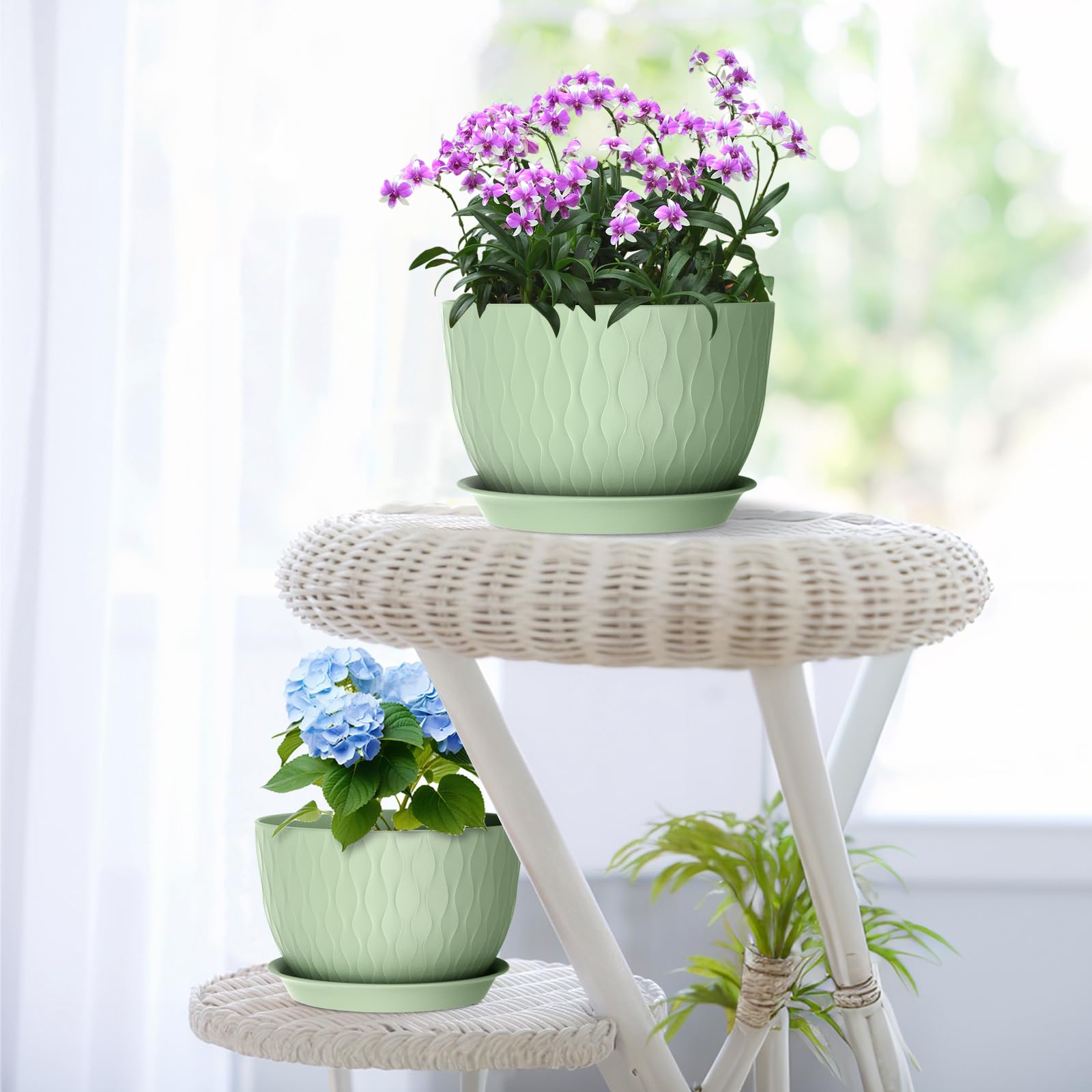 Meowell indoor outdoor plant pot set supports versatile arrangements across rooms and patios.