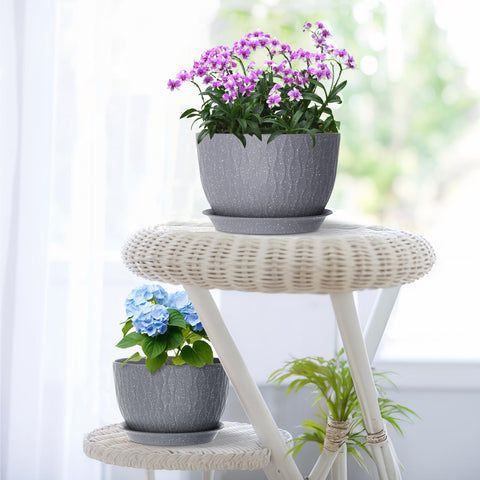 Meowell indoor-outdoor setup blends with home or garden decor