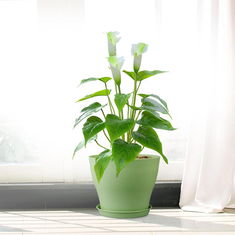 Meowell versatile pots for indoor and outdoor plant displays.