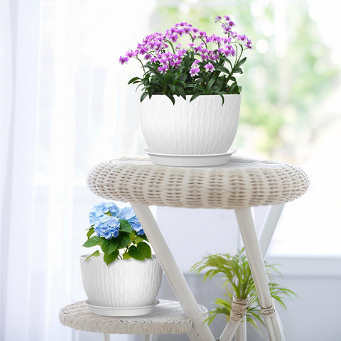 Meowell white pots suitable for both indoor and outdoor spaces.