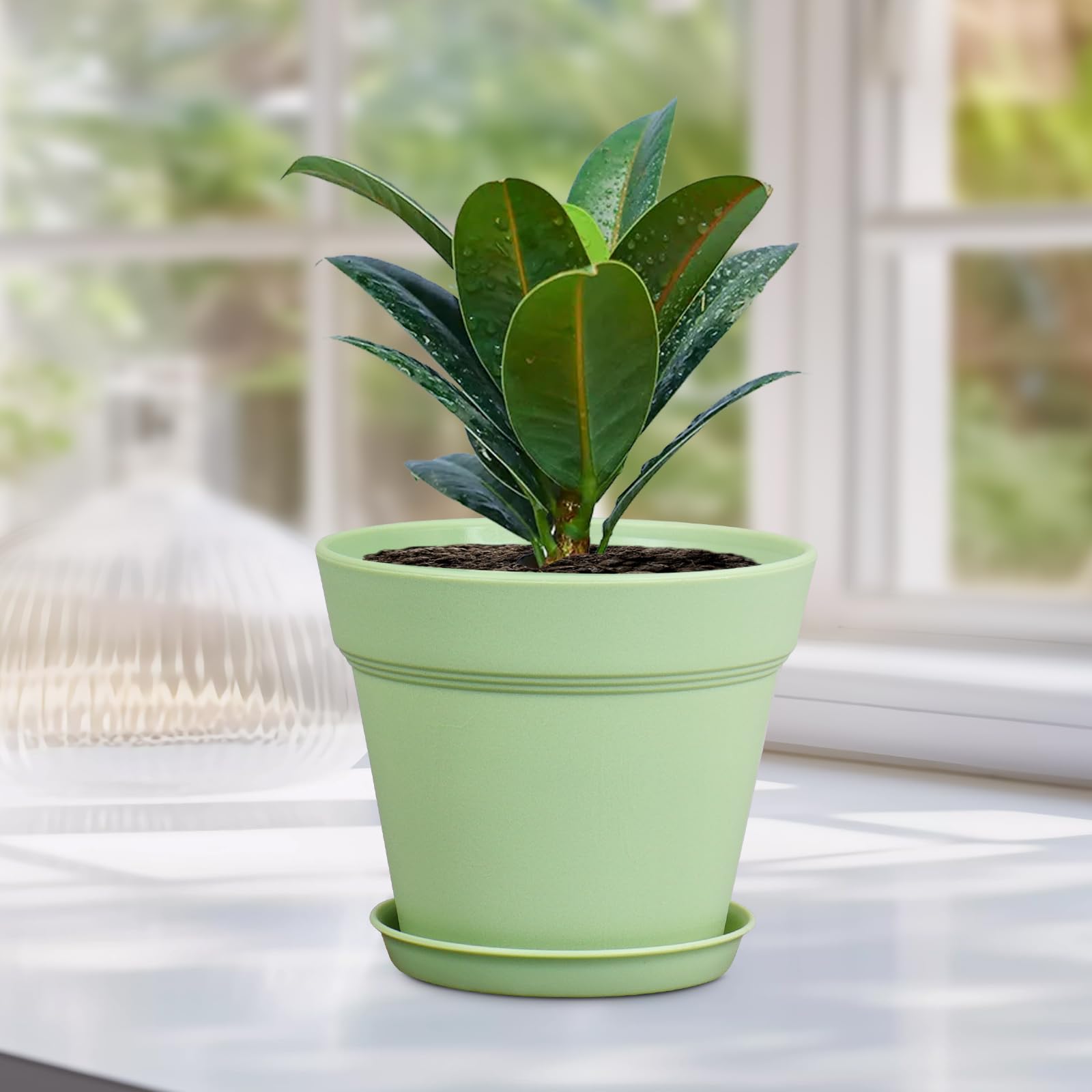 Meowell matte finish minimalist planter on a window ledge