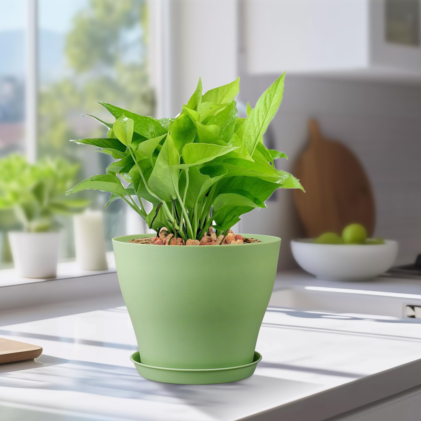 Meowell matte finish planter complements any space.